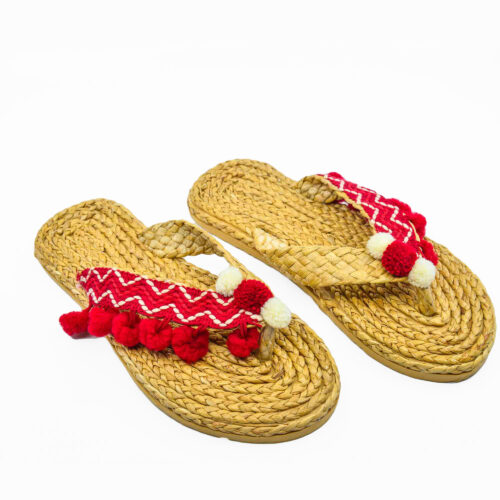 Μπιγκόνια decorated