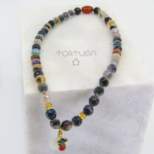 Tortuga Collection