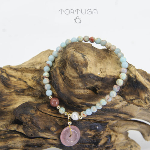 Tortuga Collection